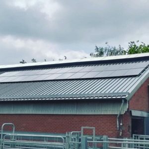 Panneaux photovoltaïques à Fraiture