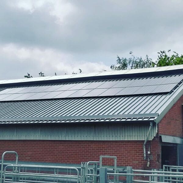 Panneaux photovoltaïques à Fraiture